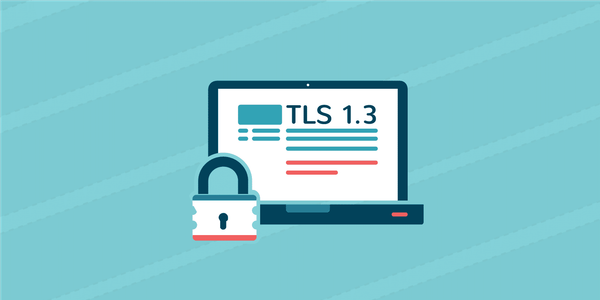 TLS 1.3 Badge